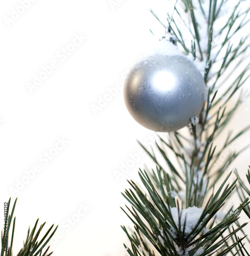 tête de sapin de Noël et sa boule photo