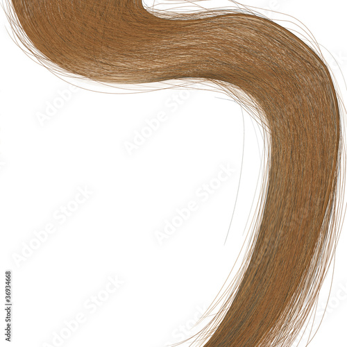 beautiful long hair on a white background