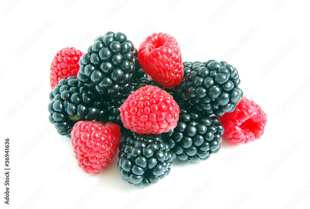 raspberry and blackberry raspberry and blackberry