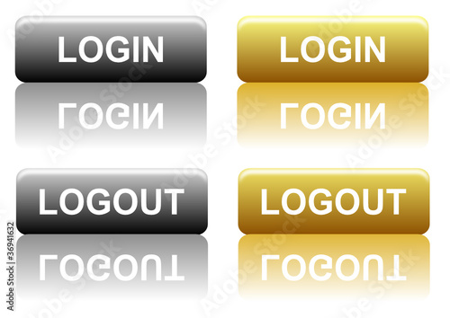 Login/Logout silver and gold