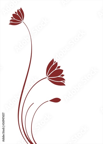 Fototapeta Naklejka Na Ścianę i Meble -  water lily plant , background , India