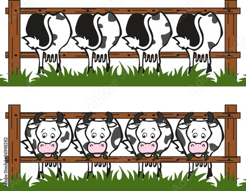 Cow barn
