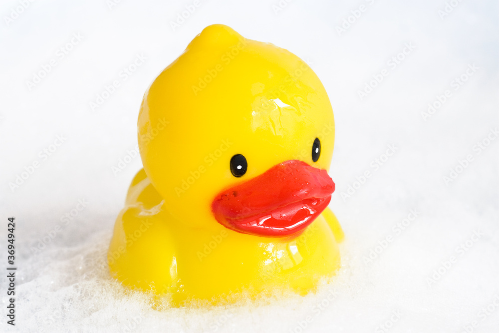 bath duckling in a foam bath duckling in a foam