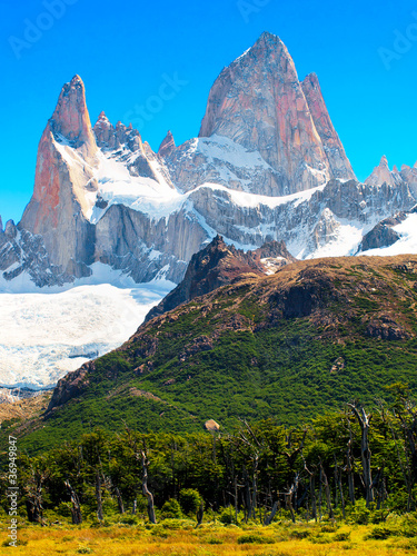 Landscape with Mt Fitz Roy in Patagonia, Argentina