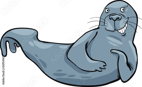 funny seal