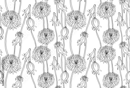 Floral seamless pattern with hand drawn dandelions photo