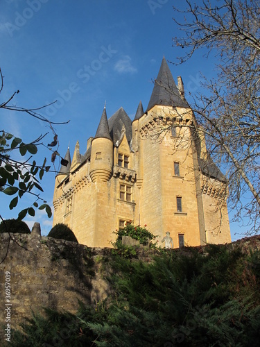 chateau St Léon Vézere photo