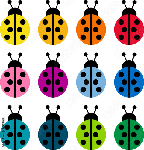 mariquitas de colores