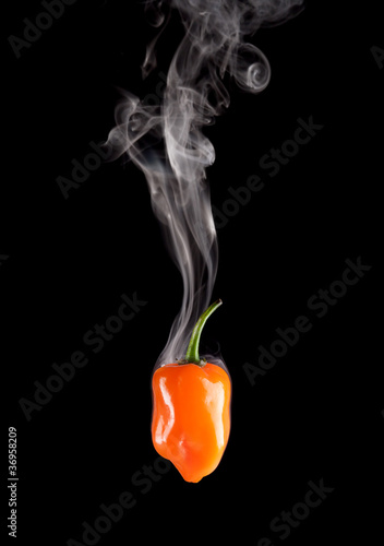 Smoking habanero pepper (Capsicum Chinense) isolated on black. photo