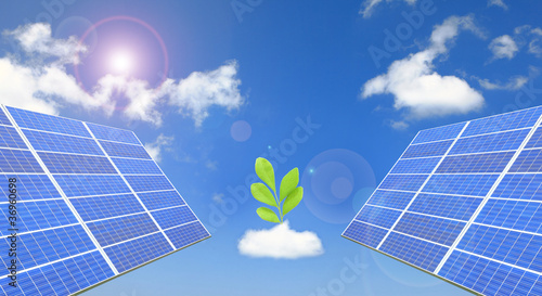 solar panel with green plant