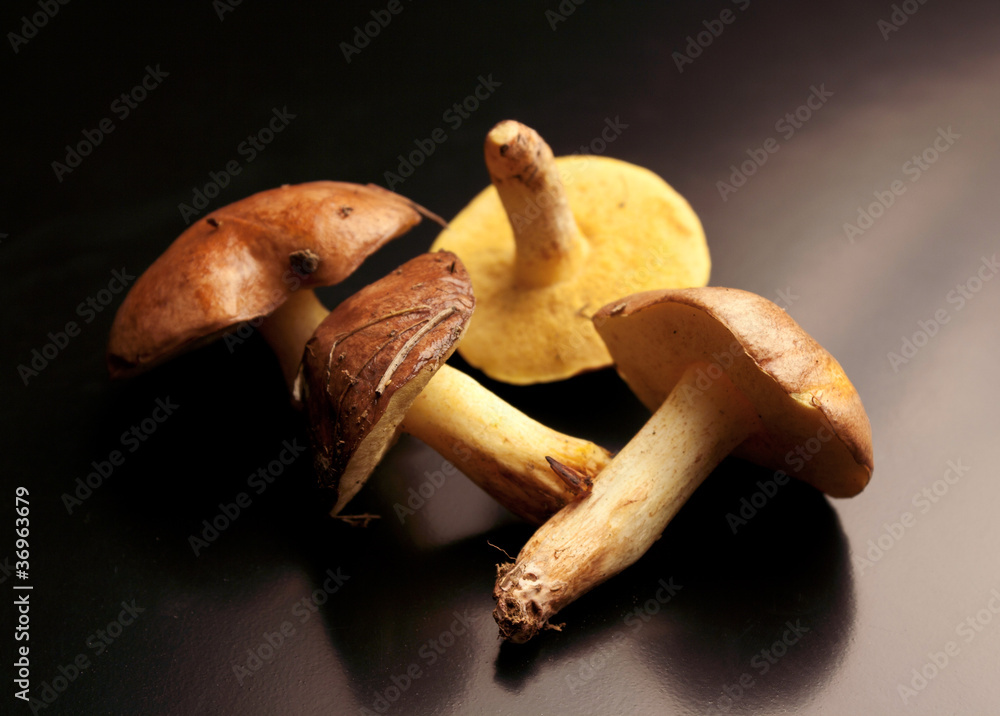 Funghi - Pinacchiotti Funghi - Pinacchiotti