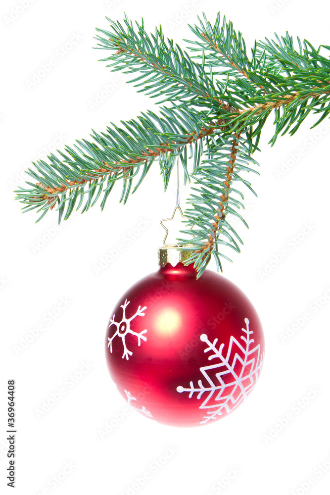 ball hanging from spruce christmas tree ball hanging from spruce christmas tree