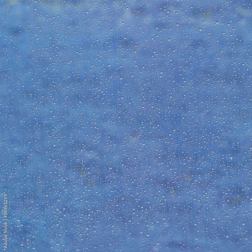 Obraz premium wet blue back