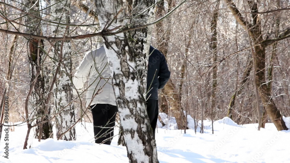 grandmother and grandfather go through forest in winter