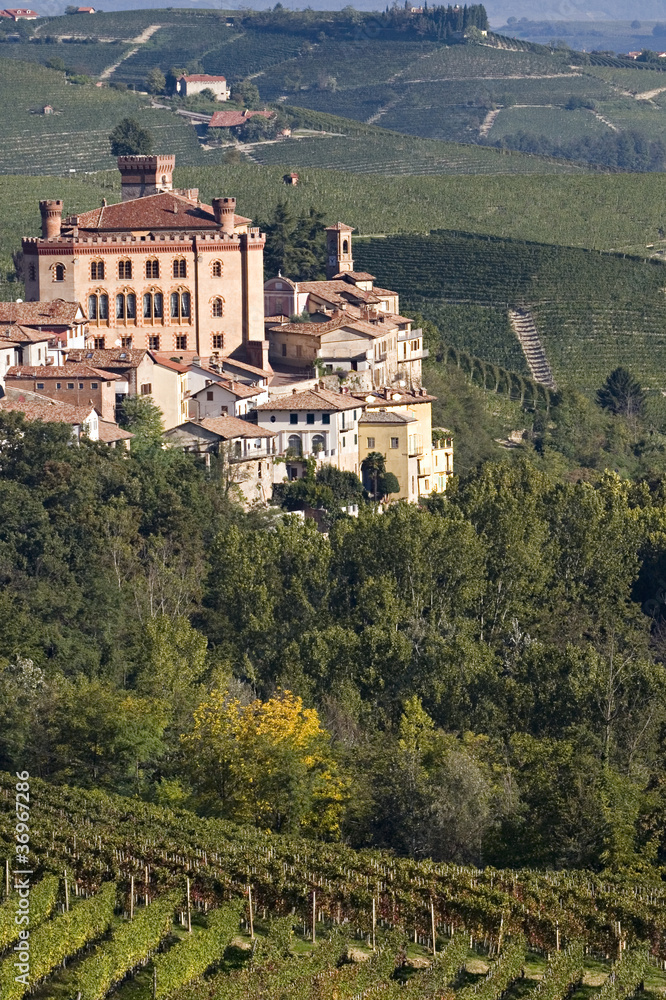 Fototapeta premium Views of the Castle of Barolo