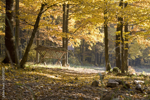 crib in autumn forest photo