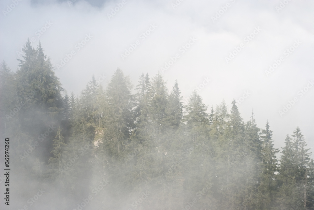 Fototapeta Mgła w górach