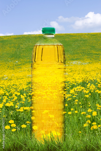 Flasche in Blumenwiese