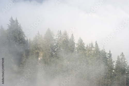 Fog in the Mountains © ETIEN