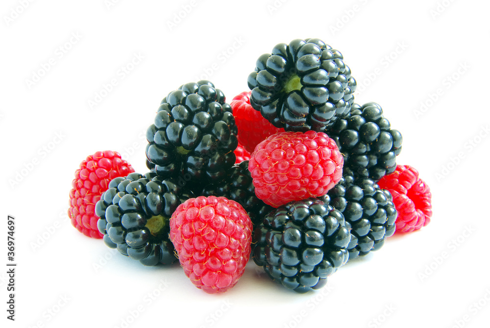 raspberry and blackberry raspberry and blackberry
