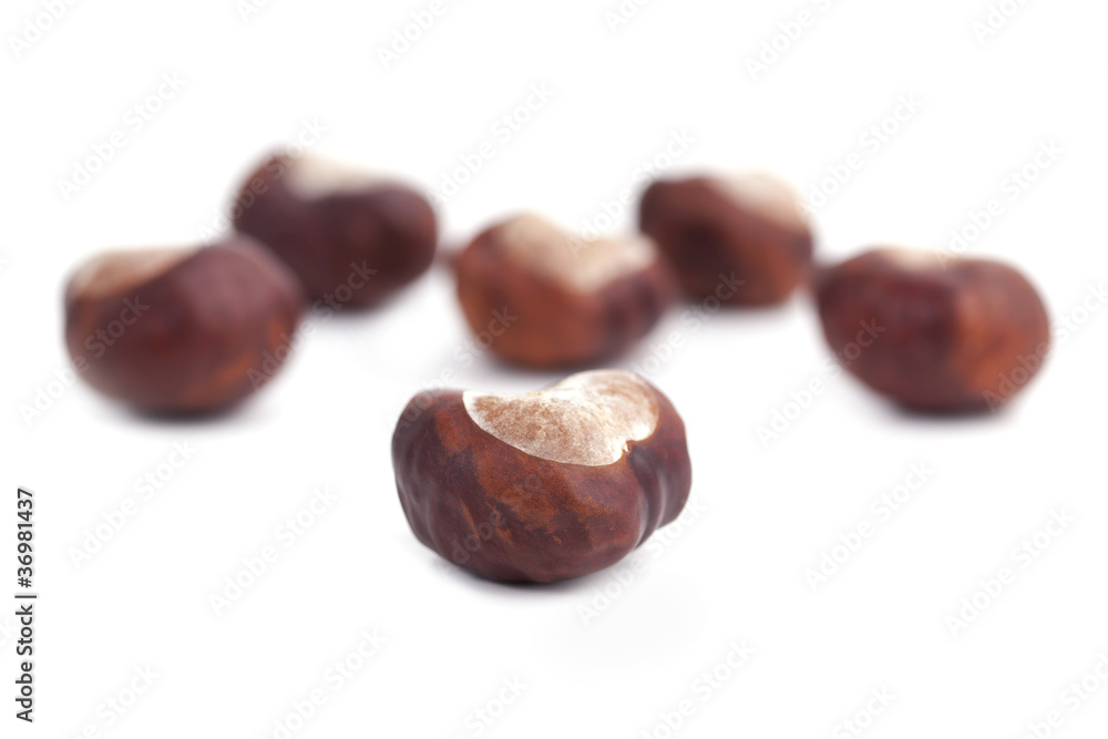 One chestnut brown mellow compared to other One chestnut brown mellow compared to other
