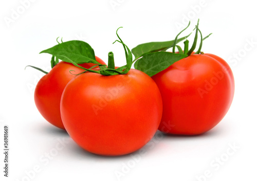 tomatoes