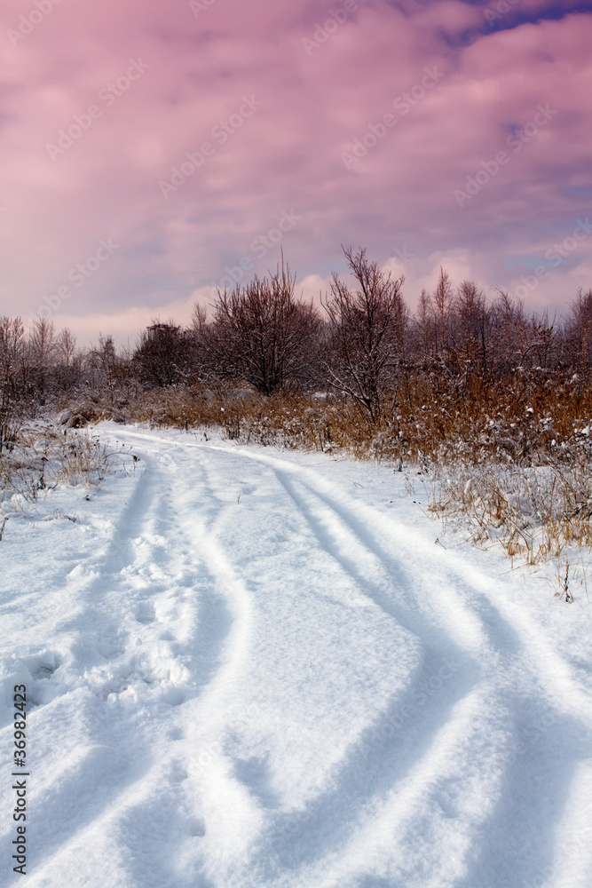 Obraz premium Winter scenery