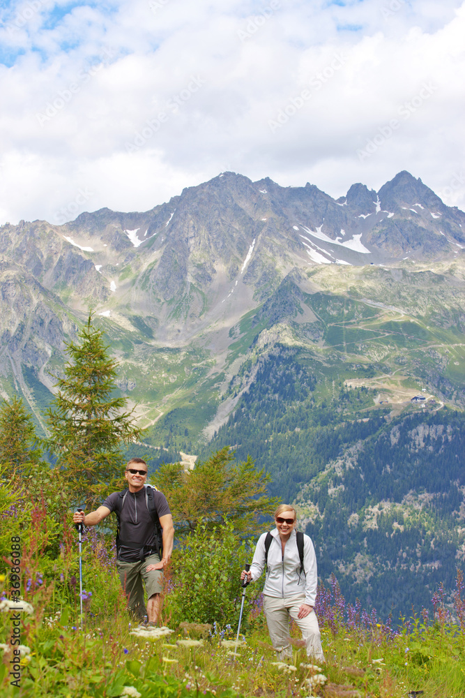Naklejka premium Alps Chamonix