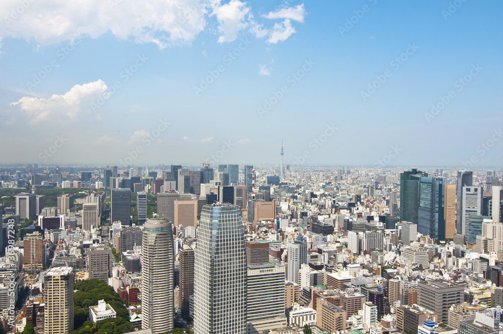Aerial panoramic view of Tokyo from Tokyo Tower
