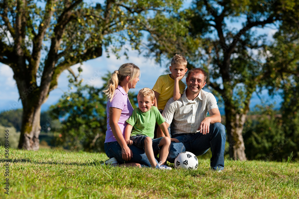 Familie mit Kindern und Fußball auf einer Wiese Familie mit Kindern und Fußball auf einer Wiese