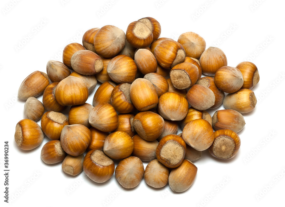 hazelnuts hazelnuts