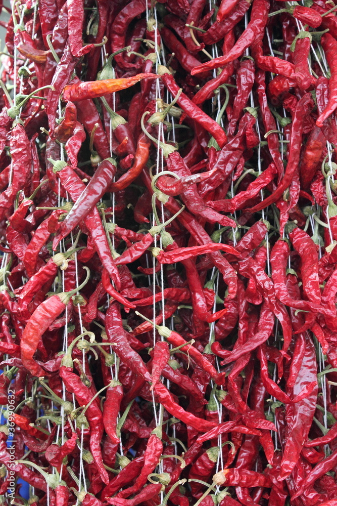 Fototapeta premium dried Chili hanging on string