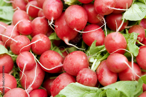 full frame radish background