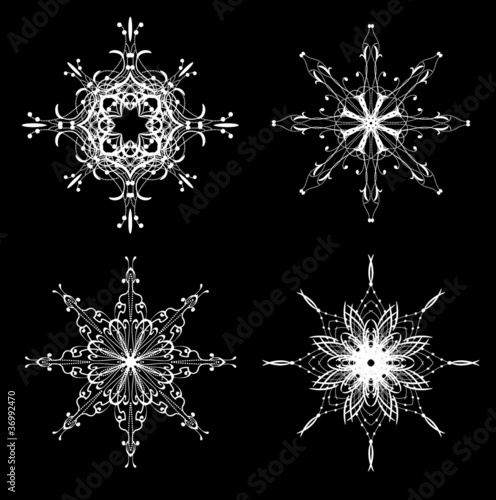 Snowflakes vector