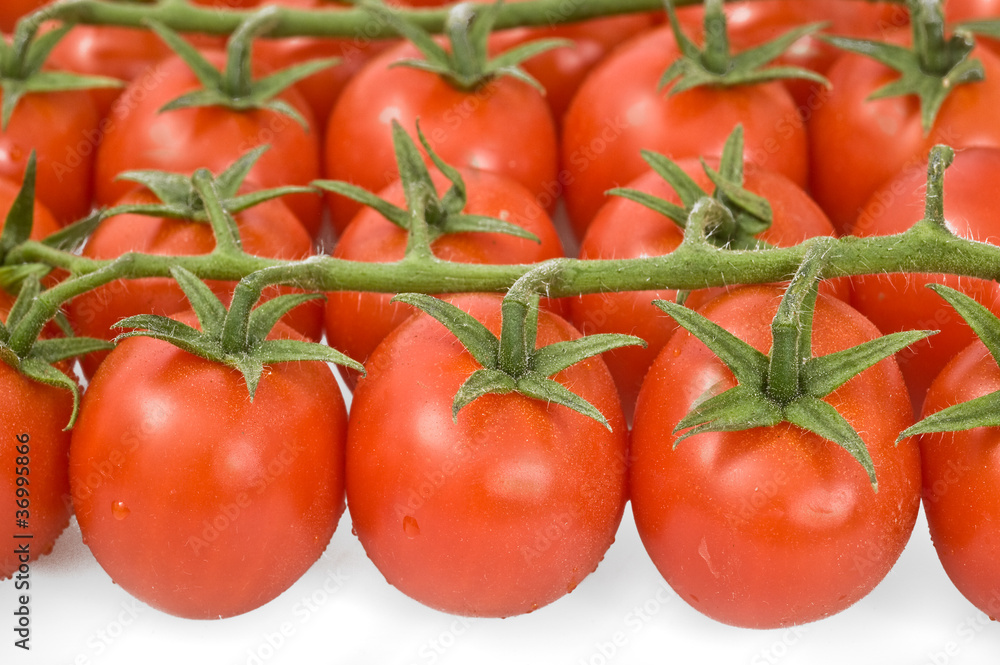 ripe tomatoes