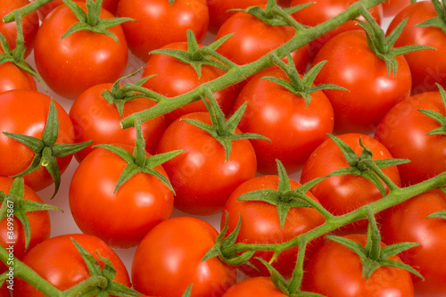 fresh ripe tomatoes cherry
