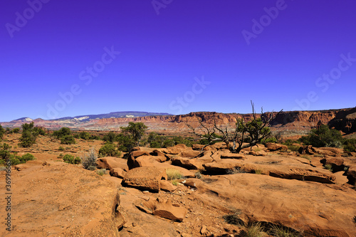 Red Rocks and Desert