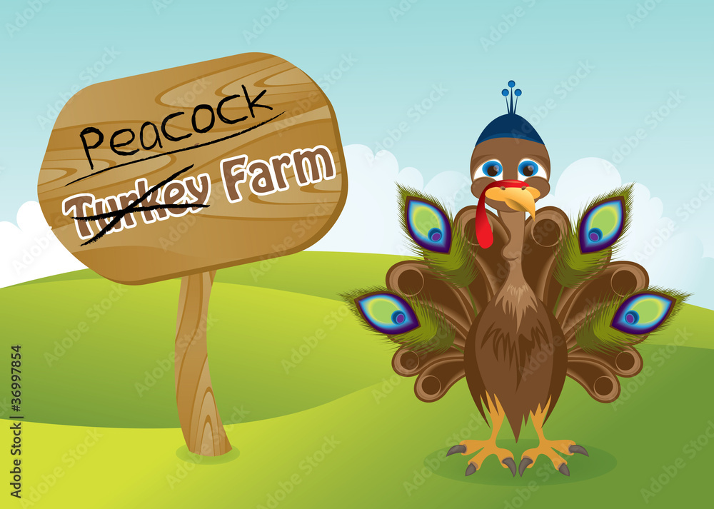 Fototapeta premium Turkey wearing a hat and peacock feathers