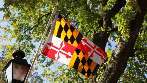 Maryland Flag
