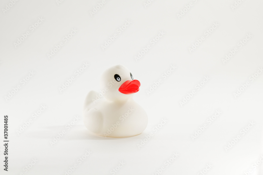 ente weiss ente weiss