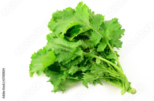 Bild auf Leinwand Cime di rapa