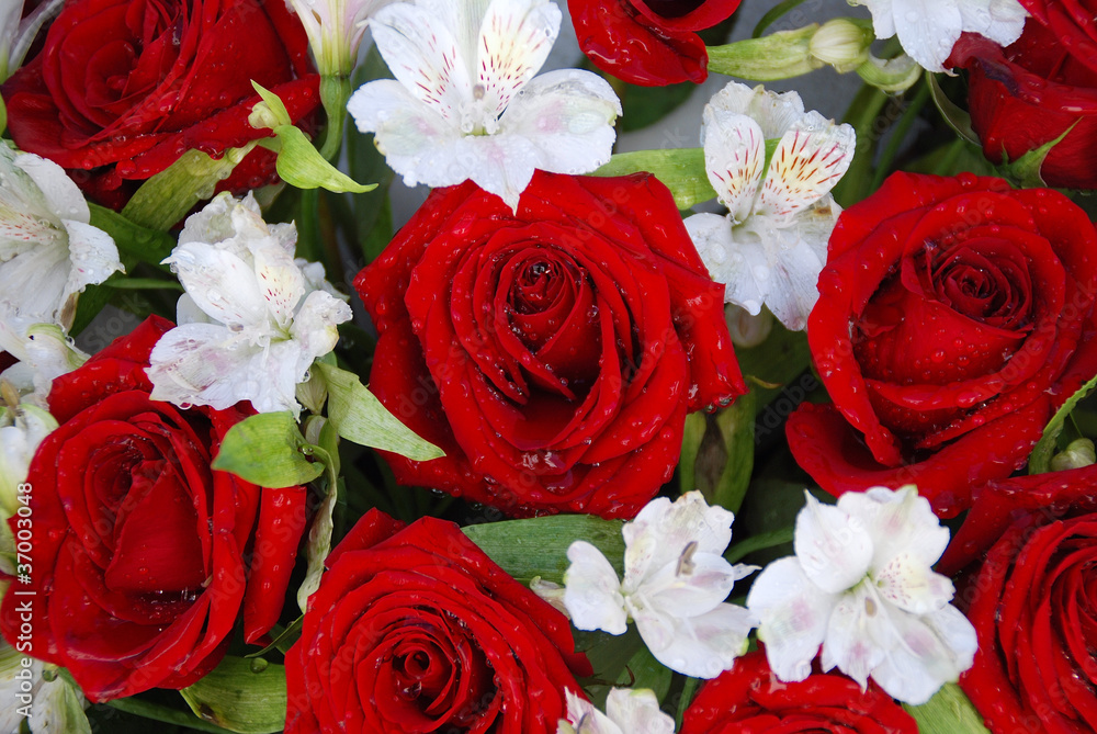 RAMO DE FLORES: ROSAS ROJAS Y LIRIOS BLANCOS Stock Photo | Adobe Stock