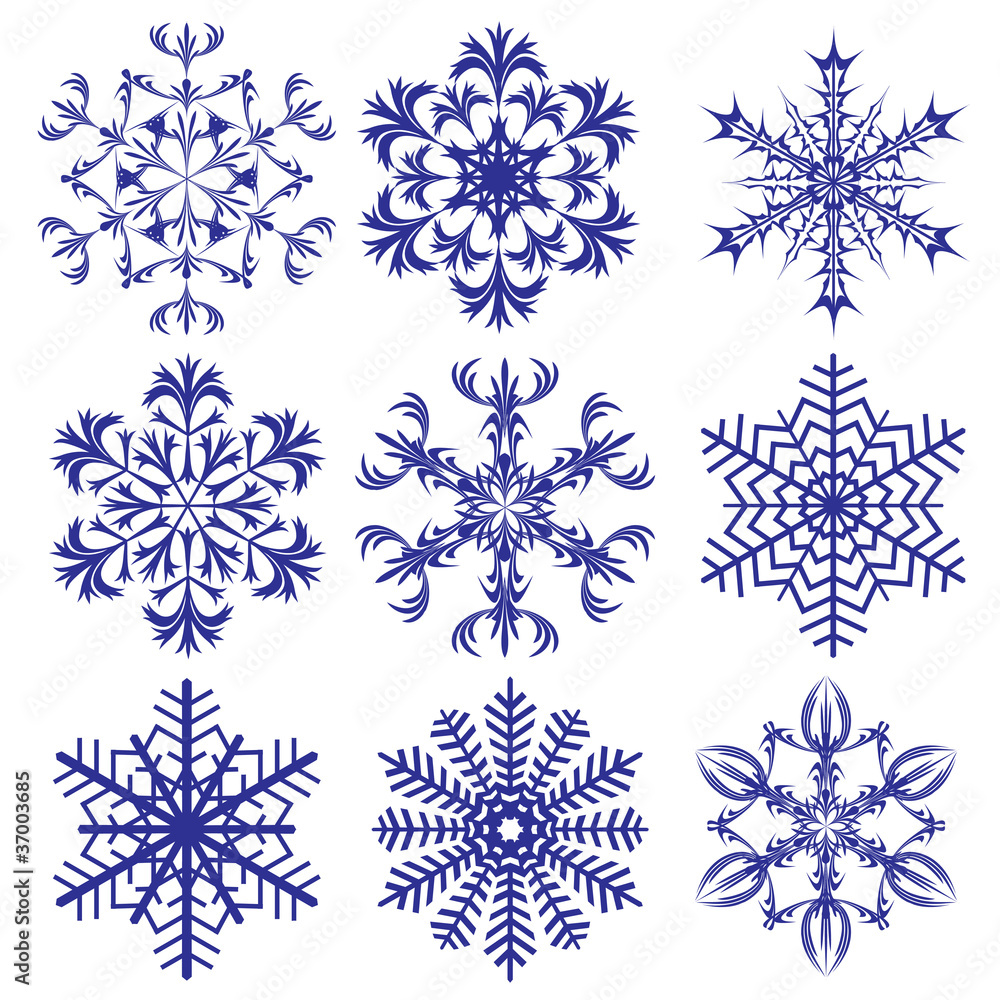 Snowflaker. Vector illustration. Snowflaker. Vector illustration.