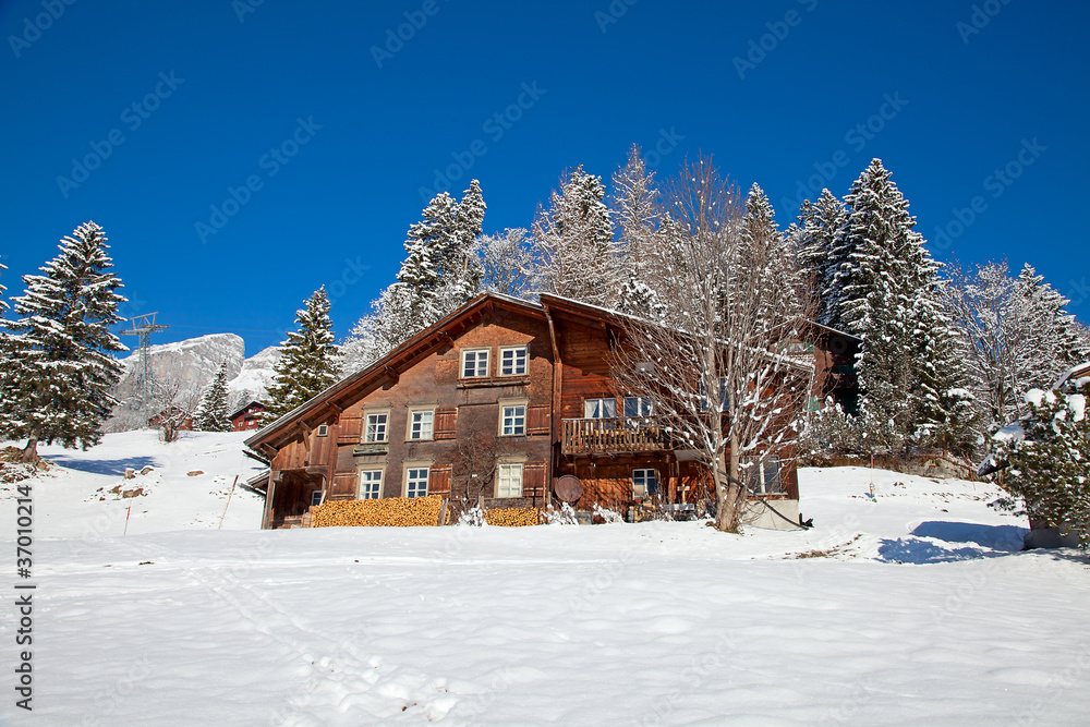 Winter in alps