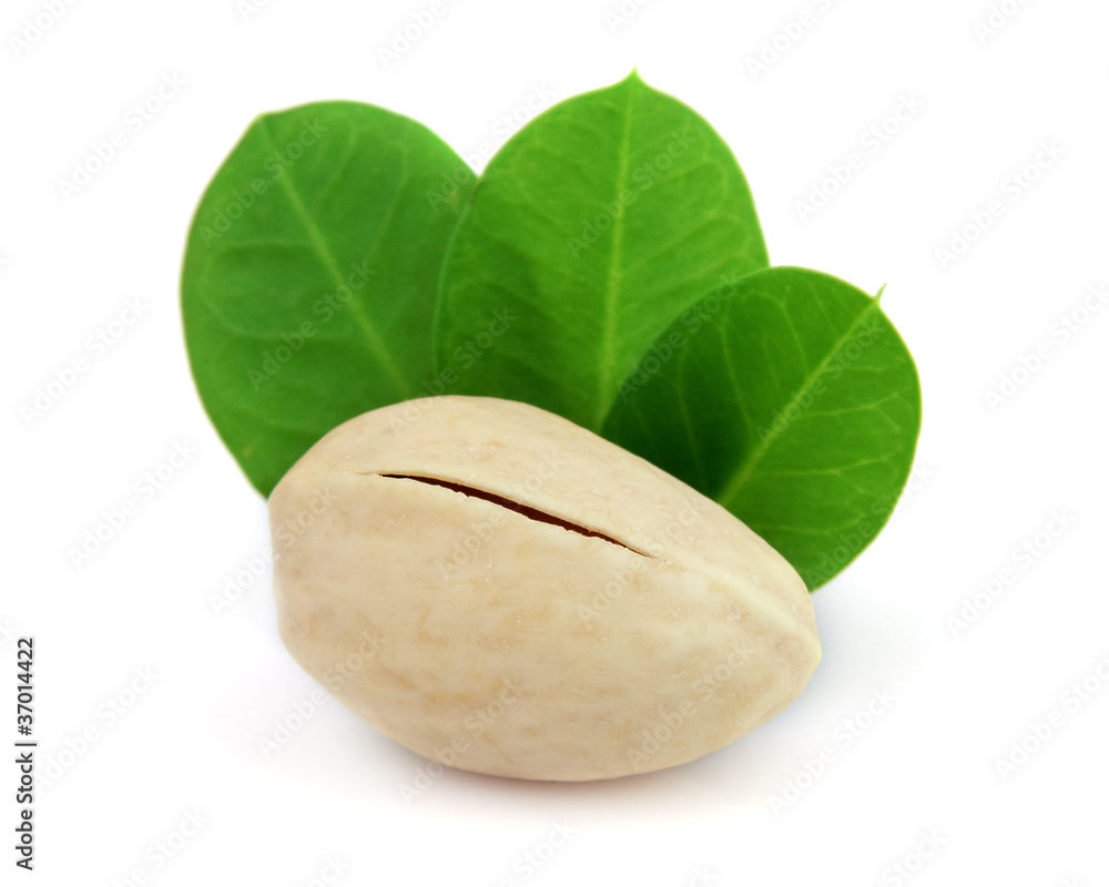 Fototapeta premium One pistachio with leaves