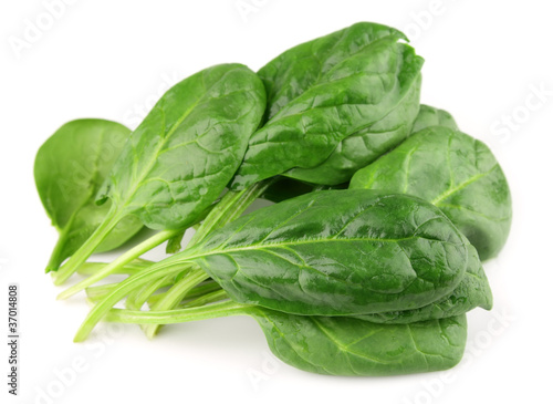 Spinach on  white photo