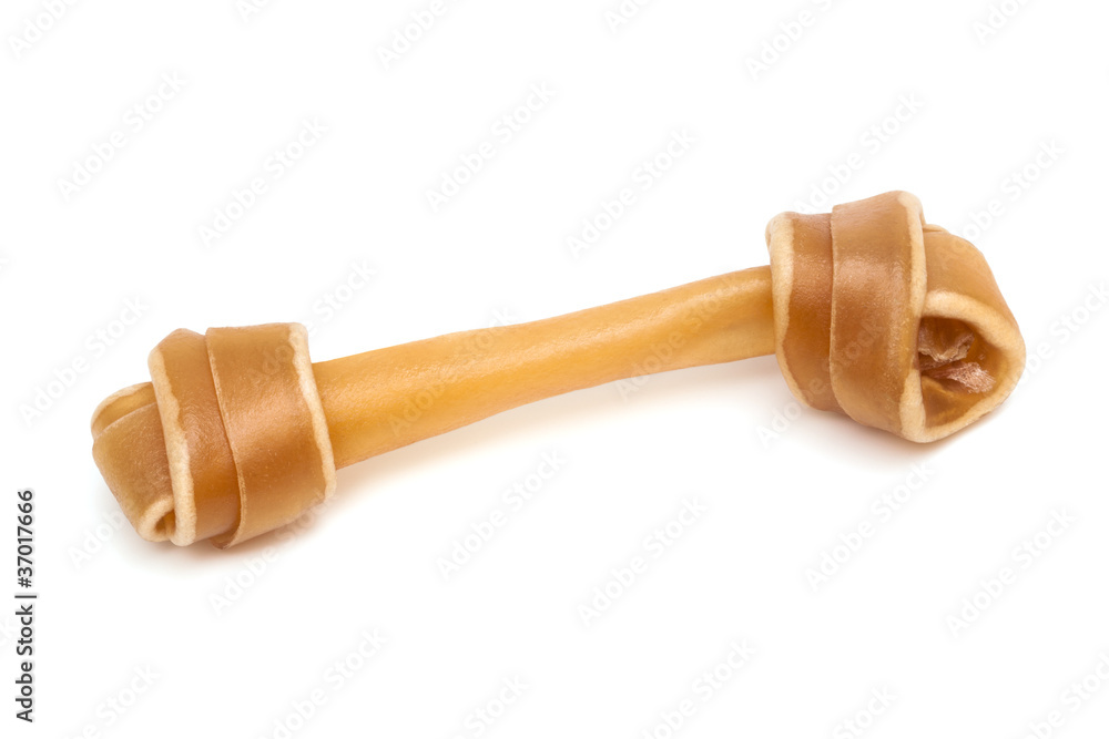 bone for a dog bone for a dog