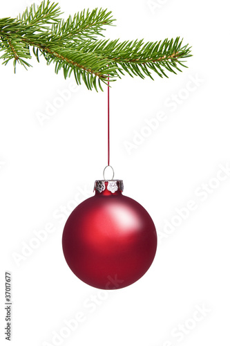 Rote Weihnachtskugel am Adventszweig