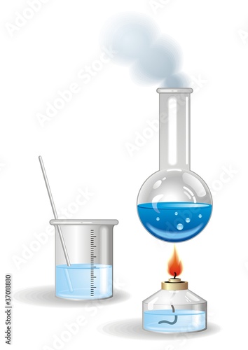 Flasks  vector