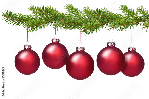 Rote Weihnachtskugeln am Tannenzweig